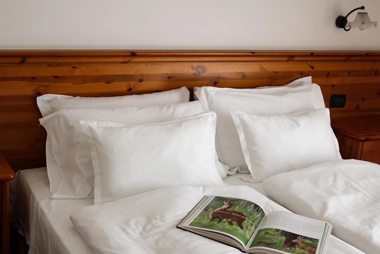 Hotel Garni Civetta Selva di Cadore